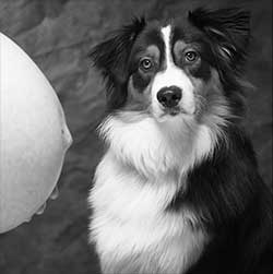 placeholder image-sq