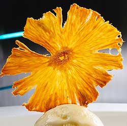 placeholder image-sq