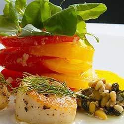 placeholder image-sq